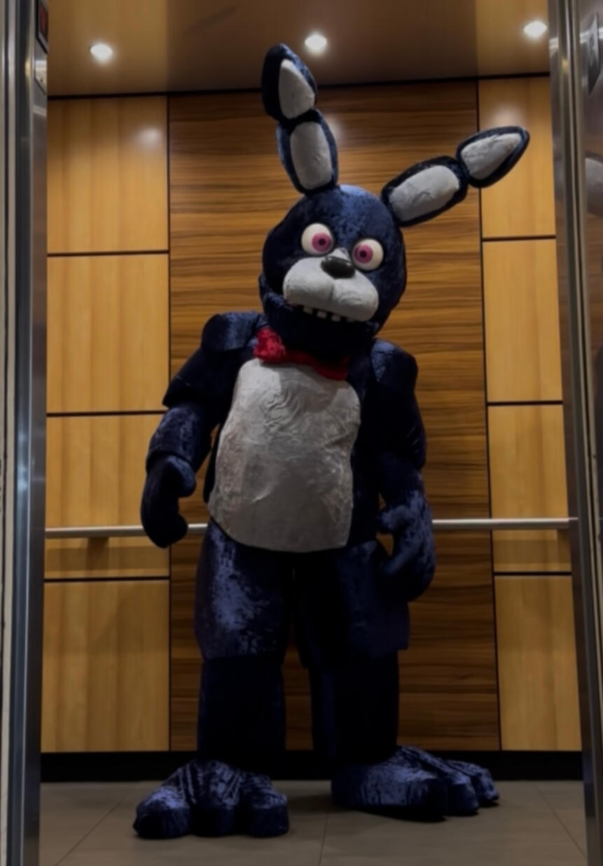 Bonnie (Afton's Animatronics/FNAF)