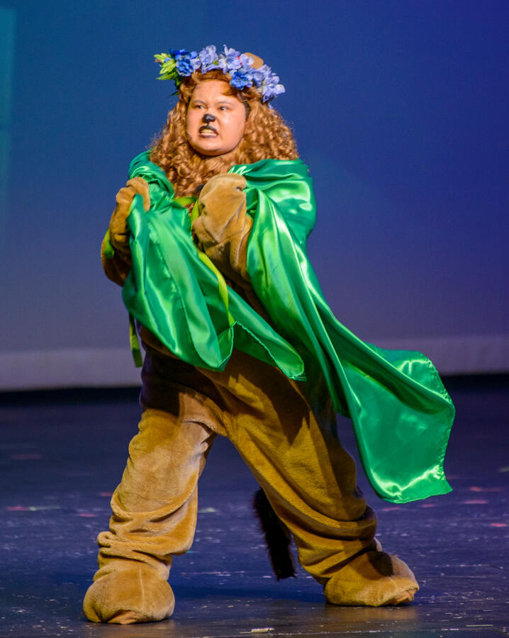 "King of the Forest" Lion