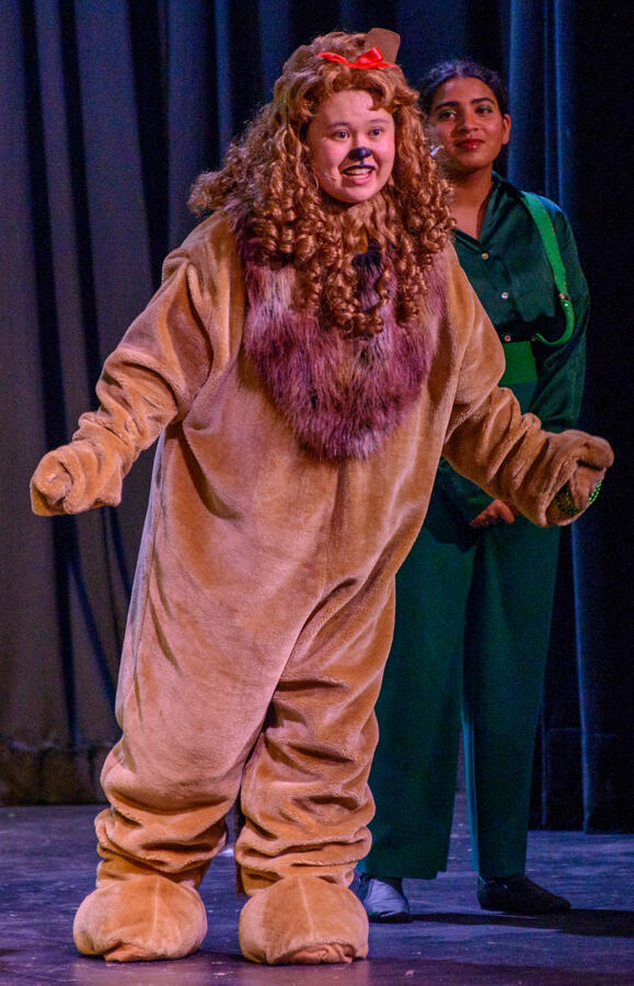 "Land of Oz" Lion